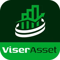 viserasset